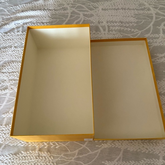 Fendi Shoe Box and Two Fendi Dust Bags - Picture 10 of 11